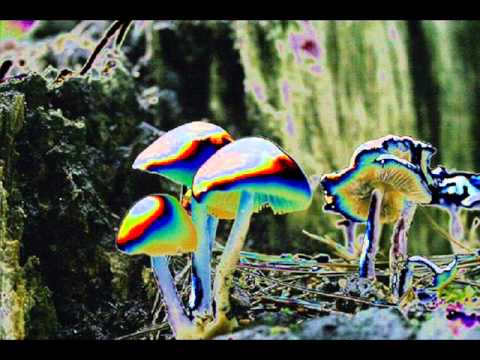 Burn in Noise - Runner