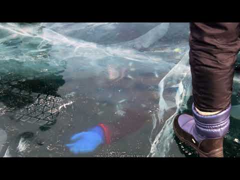 [free] jabo x may wave$ x VGB type beat // "Black"