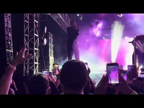 Crosses +++: Option - Live CDMX Mexico 10-12-24