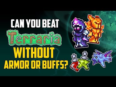 Can You Beat Terraria Without Armor or Buffs?HappyDays