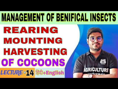 importance of beneficial insects management of benifical insects bsc agriculture 5th sem