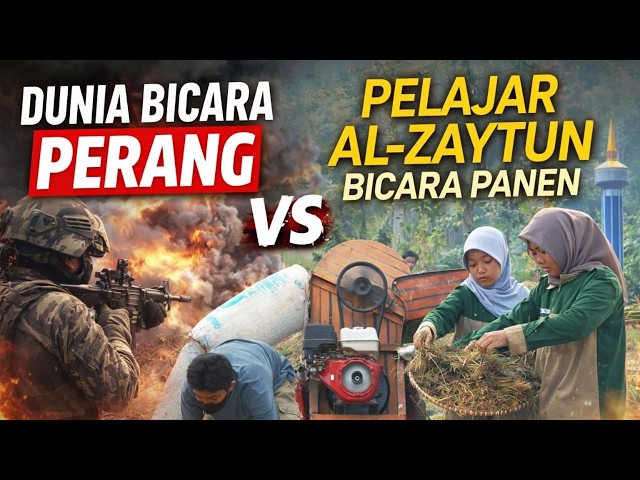 Pelajar Al Zaytun Panen Padi Hoshihikari