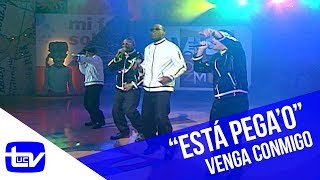 Proyecto Uno - Está Pega&#39;o | Venga Conmigo
