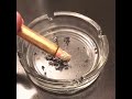 24K Gold Joint GangstersParadise