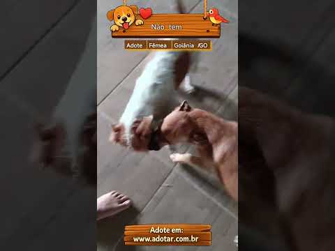 Vídeo de Não tem