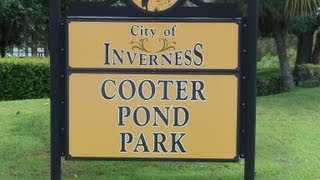 preview picture of video 'Cooter Pond Park Inverness Florida | Access Citrus County | 352.201.3303'