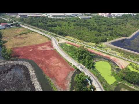 Land for Sale in Samut Sakhon, Mahachai ,Filled and Divided into 1-3 Rai Plots Located 15 min tolway, Samut Sakhon, เดิมบาง, Khok Kham, Muang Samut Sakhon, Samut Sakhon, , 6,492 sqm, Land For Sale, by กฤษฎา เอี่ยมไพศาล, 3032957 - DDproperty.com