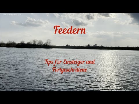 Feedern - Tipps für Einsteiger und Fortgeschrittene von Jürgen Barthel