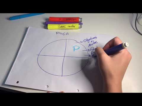 CICLO PDCA com exemplo PRÁTICO!