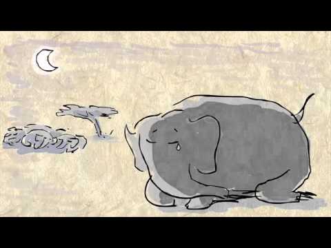 Why elephants never forget   Alex Gendler  TED Ed
