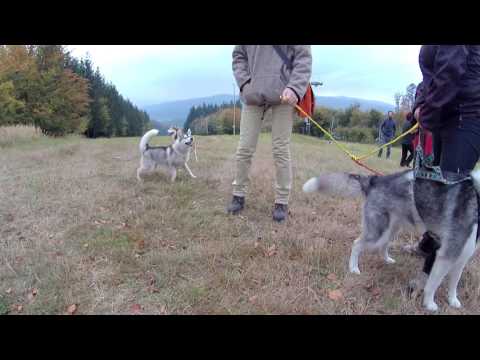 "Hory pro všechny - CIMGO"