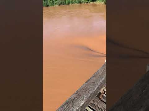 Alerta! Cuidado! Risco de enchente no rio doce. Fortes chuvas. Minas bahia.