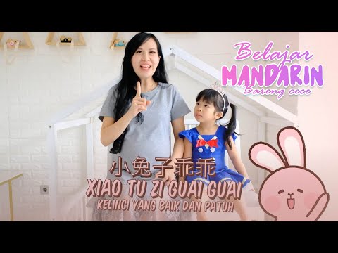 Belajar mandarin Bareng Cece Lagu Mandarin 小兔子乖乖 xiao tu zi guai guai