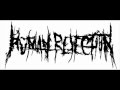 TOP 5 BRUTAL GUTTURAL SLAM DEATH METAL ...