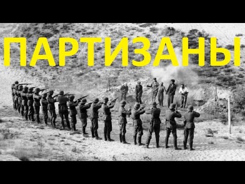 Партизаны в степях Украины (1943) в хорошем качестве