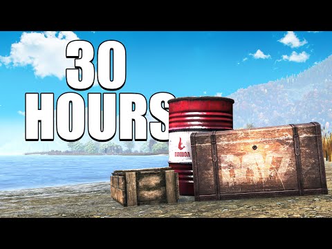 I played DayZ for 30 hours and this is what happened...