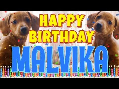 Happy Birthday Malvika! ( Funny Talking Dogs ) What Is Free On My Birthday