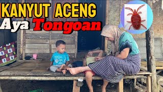 Download lagu KANYUT ACENG KU TONGO…!!! mp3