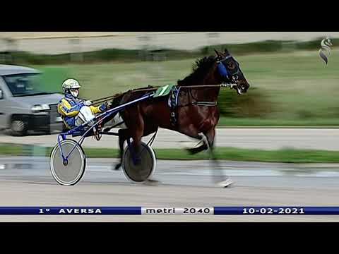 Aversa trotto 10 Febbraio 2021 - 1° Corsa