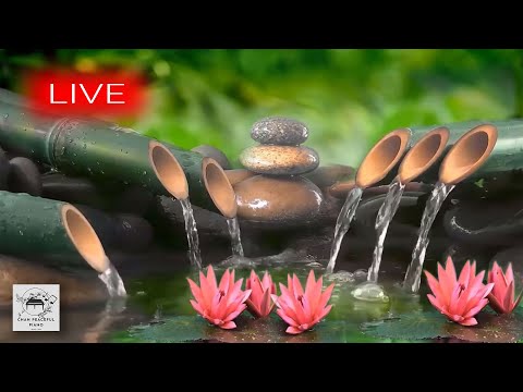 24/7 Hour de música relajante para dormir🎵 Sonidos Del Agua, música para aliviar el estrés, insomnio