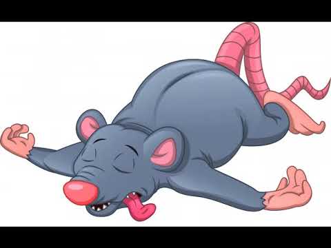 deadmau5 - All Dark Songs (Continuous Mix)