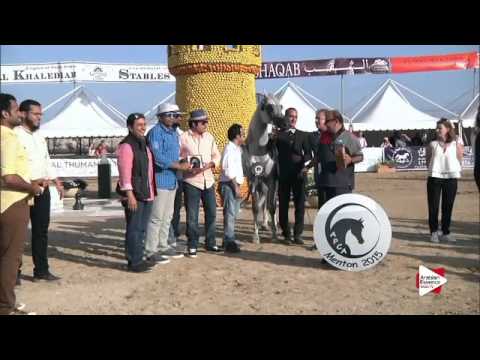 2nd place N.137 BAAHIR EL MARWAN - Menton 2015 - Senior Male Championship (Class 16)