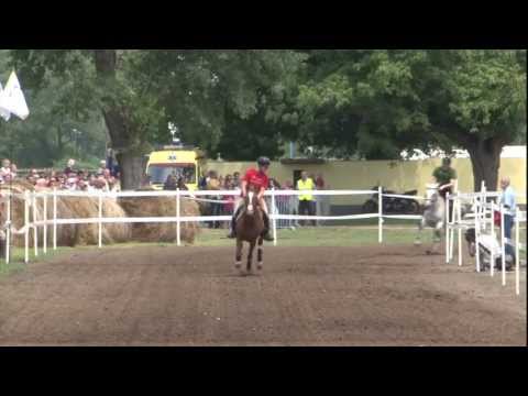 Hatvani Vágta - 3. előfutam