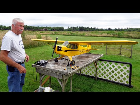 Piper J-3 Cub: 1/4 Scale