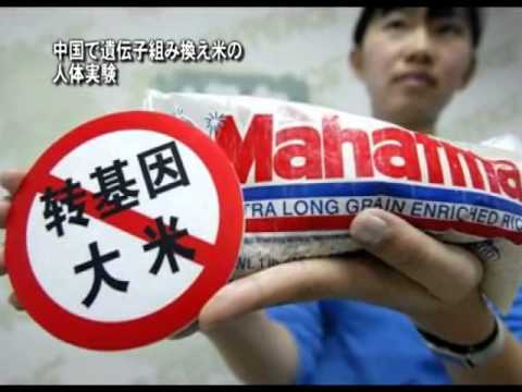 中国の研究者が遺伝子組み換えサル1匹を5匹に変える