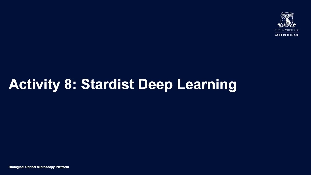 Quantification (Activity 8): Stardist Deep Learning