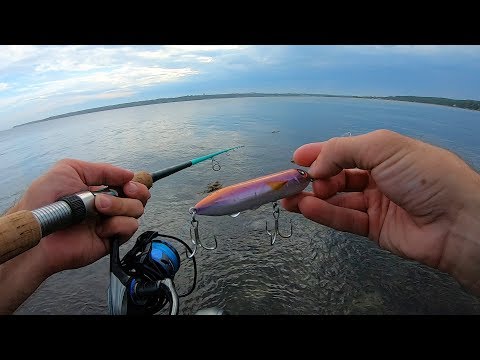 Striper and Bluefish FIGHT for this Plug - TOPWATER Bay Bass