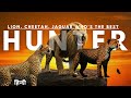 Ultimate Predator Showdown Lion Vs Cheetah Vs Jaguar Wildlife Documentary Hindi