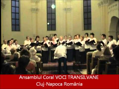 15  MANDRULITA PUI, PUI, PUI   Augustin Bena