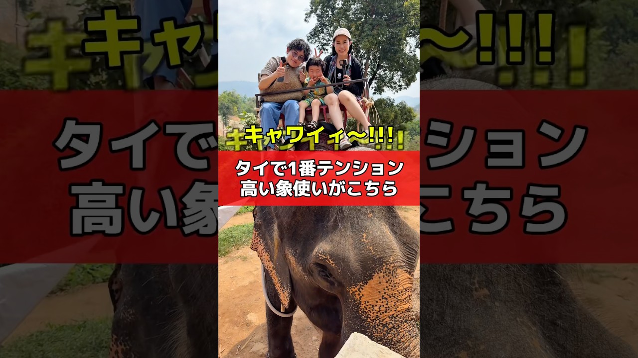 【絶叫】世界一適当な像使いが操る像に乗った家族の末路… #shorts