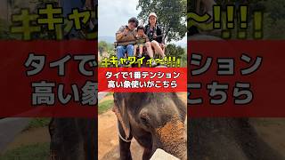 【絶叫】世界一適当な像使いが操る像に乗った家族の末路… #shorts