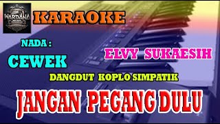 Download lagu JANGAN PEGANG DULU 'ELVY SUKAESIH'  DANGKO SIMPATIK WARDANA MUSIK KARAOKE (WMK) mp3