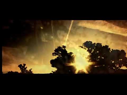 Mercury Rev - Nite and Fog [Official Video]