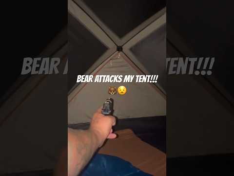Bear attacks tent!!! 🐻 ⛺️ #shorts #survival #camping