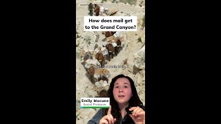 How does mail get to the Grand Canyon? 📬