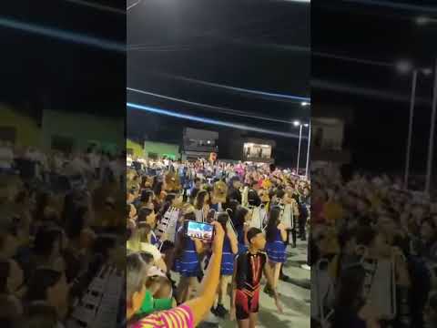 o desfile de um umbuzeiro paraíba