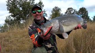 Wobler Rapala Precision Xtreme Pencil EXO 127_HPB