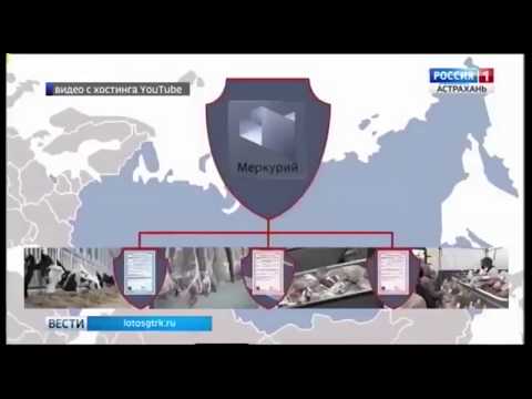 Об эффективном внедрении электронной ветеринарной сертификации в Астраханской области
