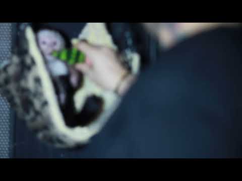 Mally Mall Feeds His Pet Monkey With A TV In His Cage Bought By Justin Bieber-- All Celebritynews