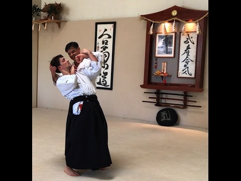 Ayhan Kaya Sensei - Spring Aikido Friendship Seminar 2017