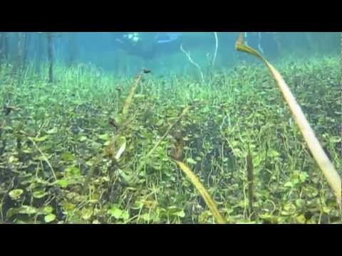 Ewan's ponds and Picanninie ponds