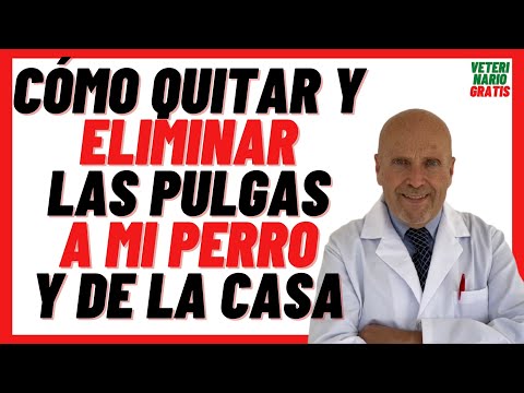 🟢How to Remove FLEAS from my DOG 🟢 and REMOVE FLEAS from the HOUSE FAST with Sodium BAKING CARBONATE