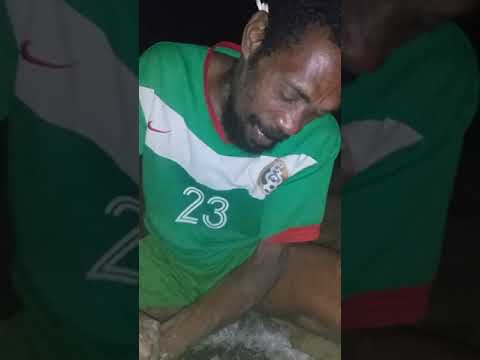 How we make kava in gaua Vanuatu