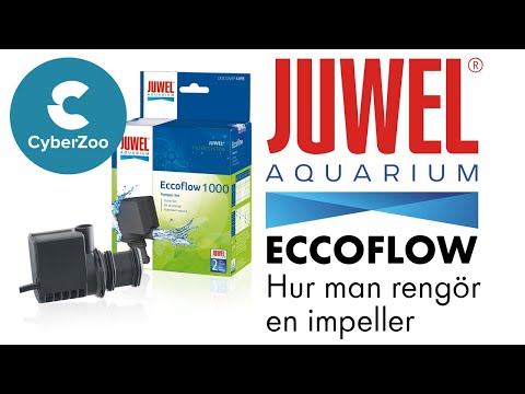 Watch Video on YouTube