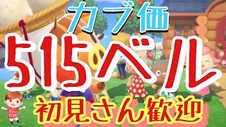 【あつ森】カブ価515ベル島など　ライブ参加型