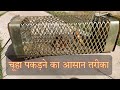 चूहा पकड़ने का आसान तरीका बीना मारे चू